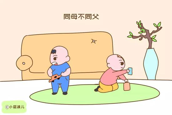 双胞胎宝宝同母不同父，不常见