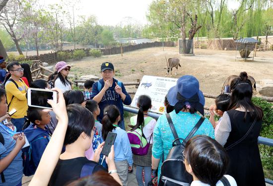 张劲硕博士带领读者游北京动物园